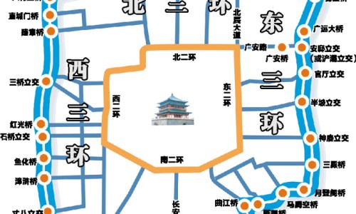 鸡胆有什么药用功效与作用是什么意思网 - 鸡胆有什么作用和功效,鸡胆吃下去有什么功效
